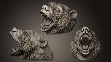 3D model Ursa Head (STL)